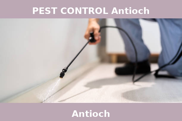 PEST CONTROL Antioch